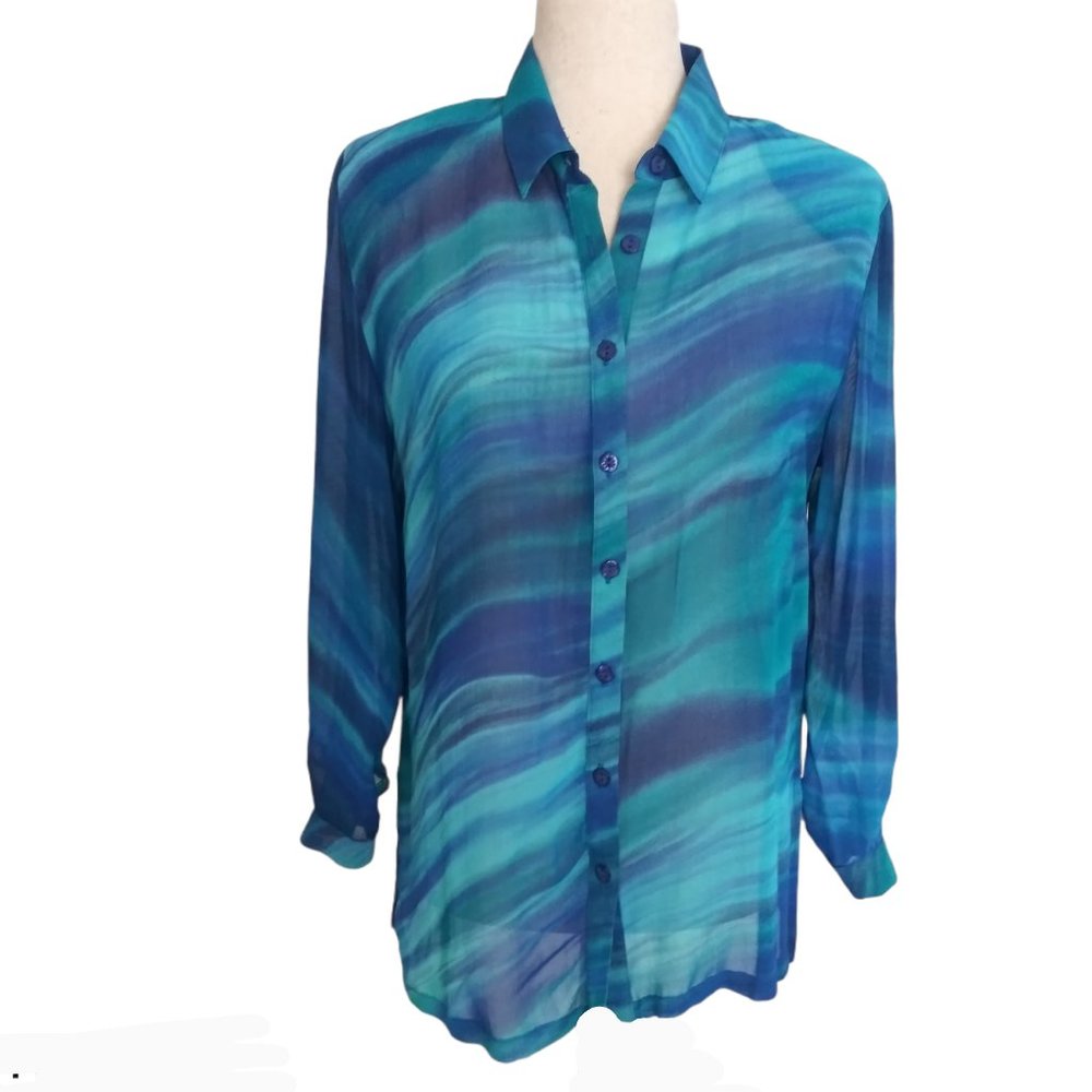 Sheer Button Down Long Sleeve Blouse